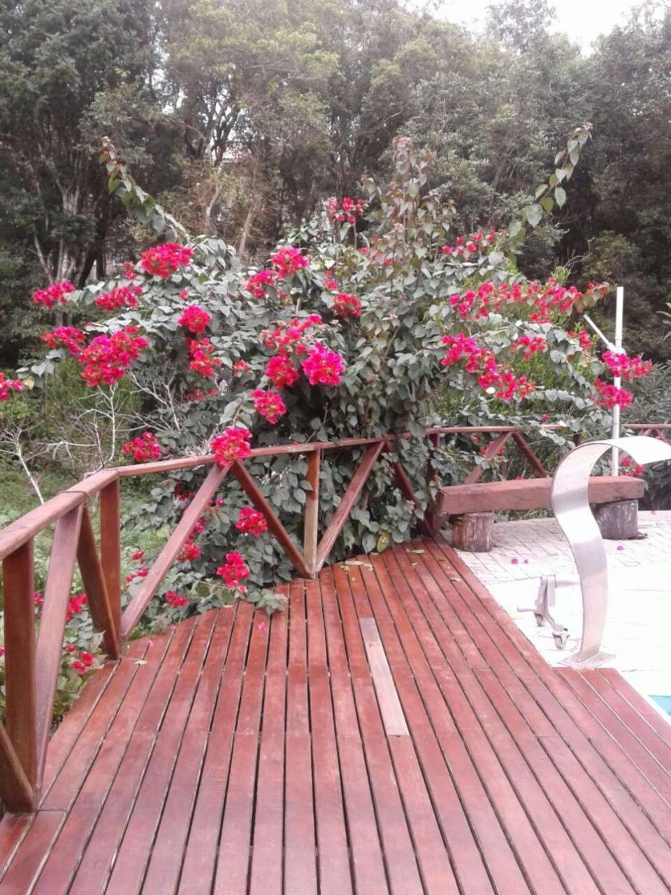 Chacara Recanto Vale Do Luar Piraquara Εξωτερικό φωτογραφία